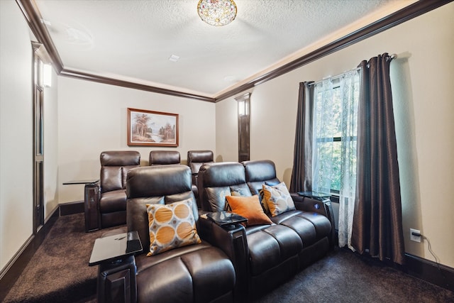 carpeted home theater room with a healthy amount of sunlight, crown molding, and a textured ceiling