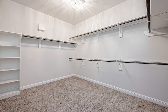 walk in closet featuring carpet floors