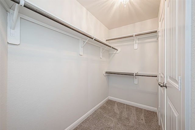 walk in closet featuring carpet flooring