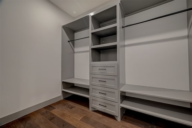 spacious closet featuring dark wood-type flooring