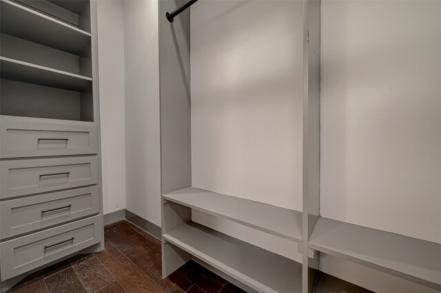 spacious closet featuring a barn door and dark hardwood / wood-style flooring