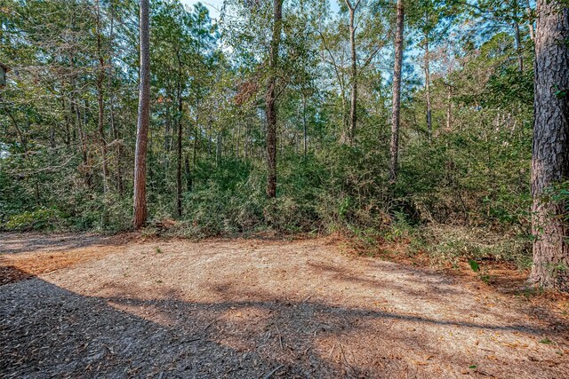 0 Oak Ridge Dr, Cleveland, TX 77328 - photo 1
