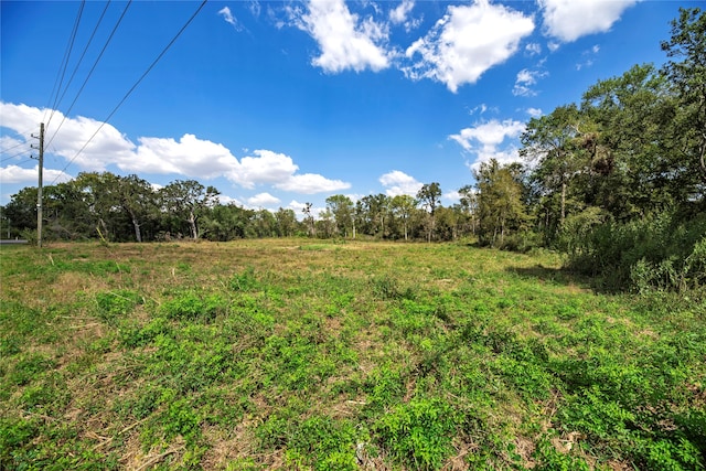 2394 Fm 359, Pattison TX, 77423 land for sale