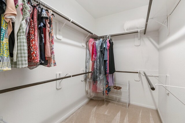 spacious closet with light colored carpet