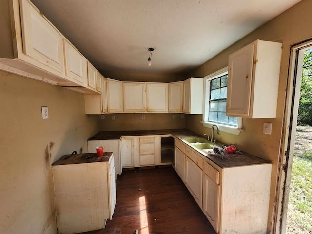 kitchen with a wealth of natural light, sink, and dark hardwood / wood-style floors