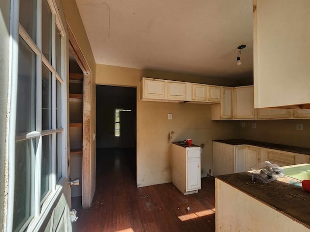 kitchen featuring dark wood-type flooring