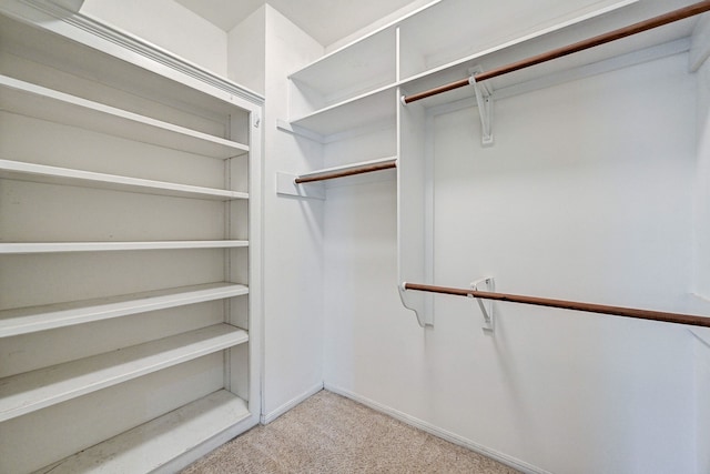 walk in closet with light carpet