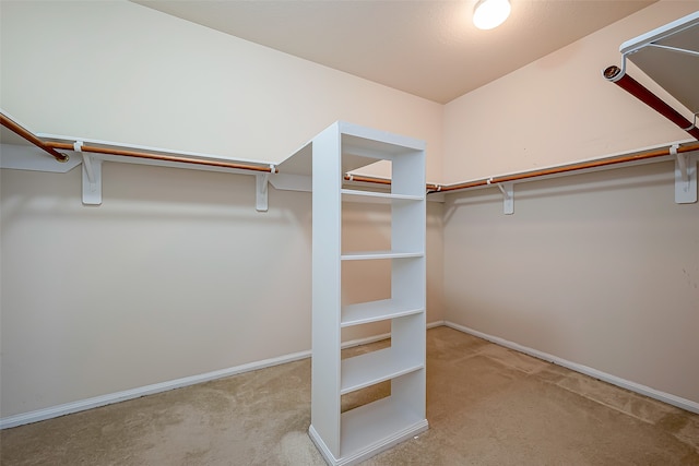 walk in closet featuring light carpet