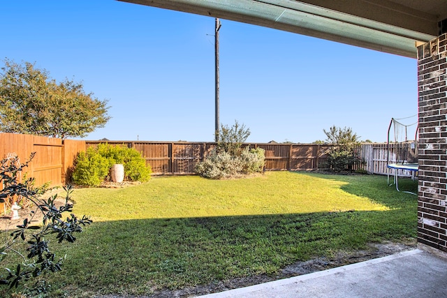 view of yard featuring a trampoline