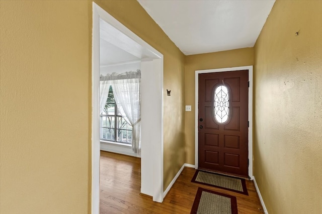 foyer with wood-type flooring