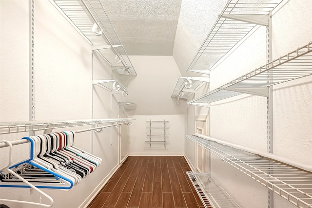 walk in closet featuring dark hardwood / wood-style floors