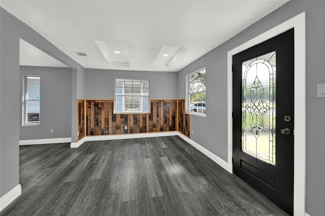 entryway featuring dark wood-type flooring