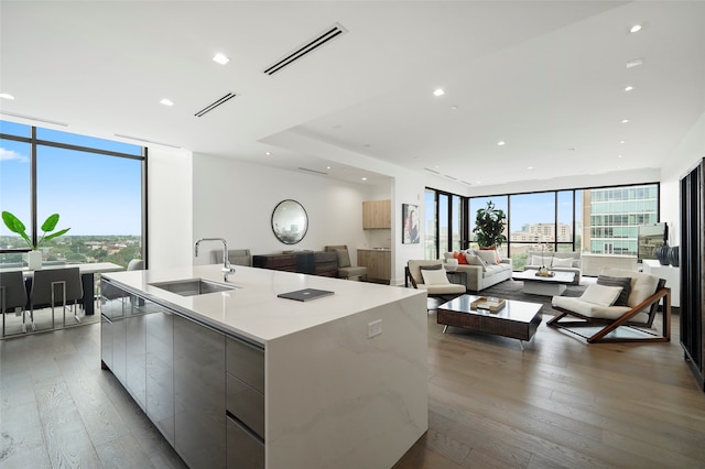 kitchen featuring expansive windows, sink, a large island, gray cabinets, and light hardwood / wood-style floors