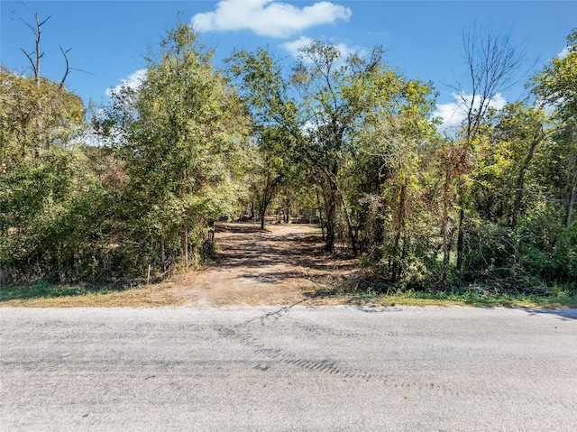 Listing photo 2 for TBD Morris Ln, Huntsville TX 77320