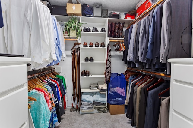 spacious closet featuring carpet