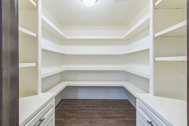 24578 Derry St, Hempstead, TX 77445 - view of pantry