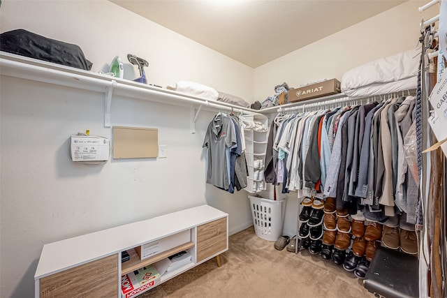 spacious closet with carpet