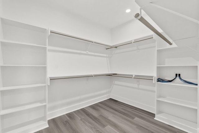 spacious closet with hardwood / wood-style flooring