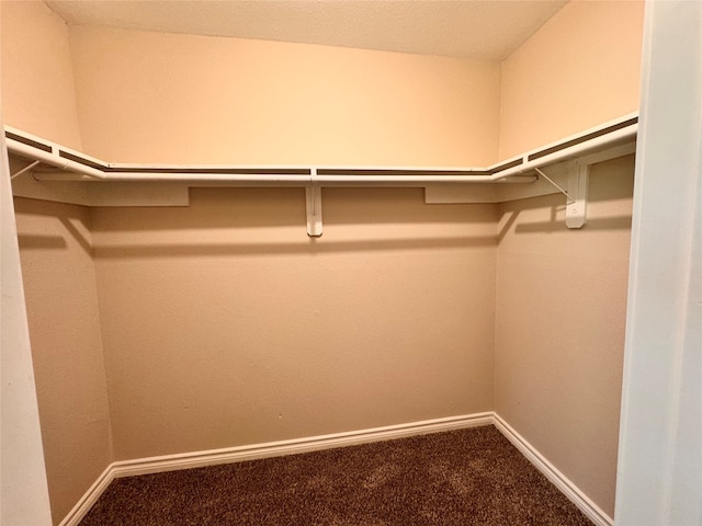 walk in closet with carpet