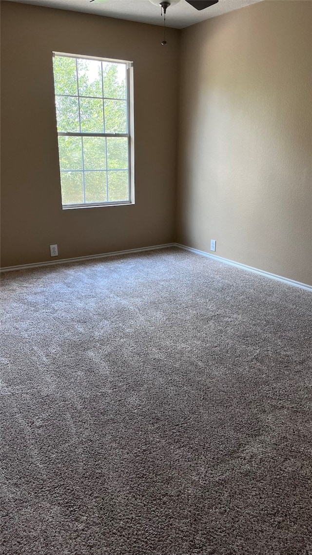 spare room with ceiling fan and carpet flooring