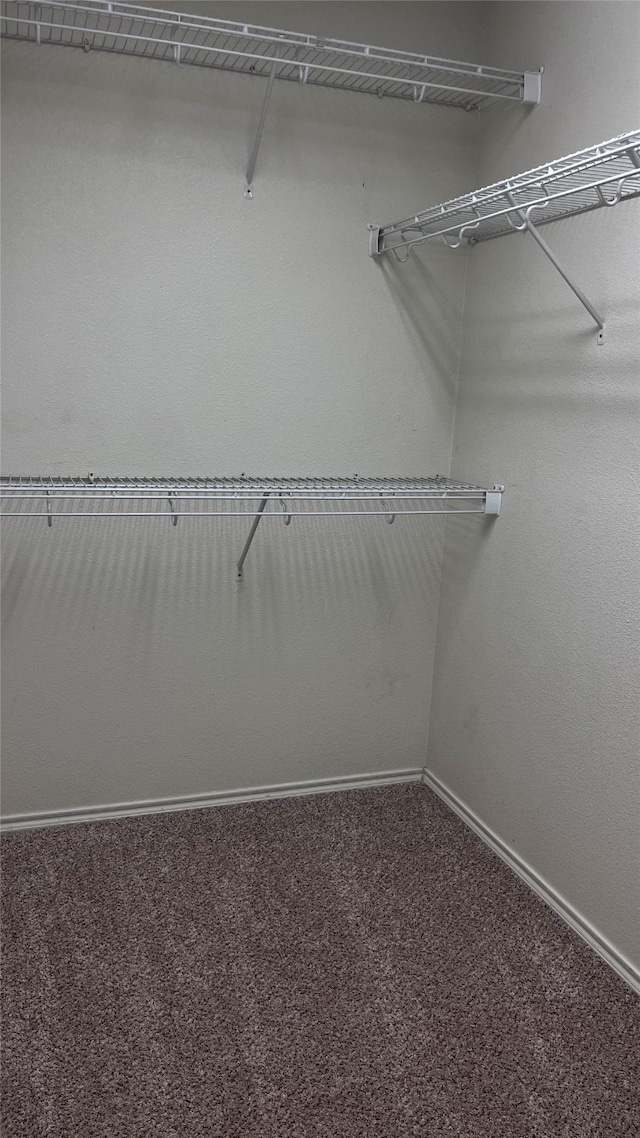 spacious closet with carpet