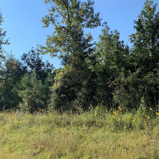 TBD Rice Rd, Camden, TX 75934