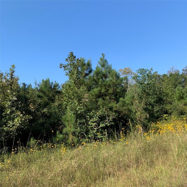 TBD Rice Rd, Camden, TX 75934