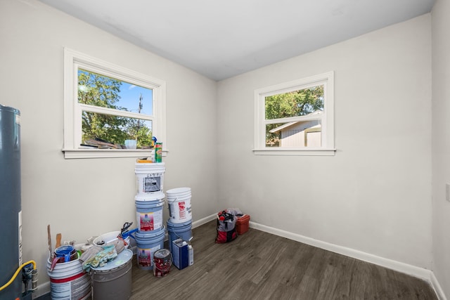 interior space featuring gas water heater and dark wood-type flooring