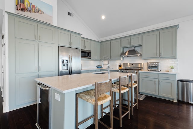 kitchen with appliances with stainless steel finishes, lofted ceiling, dark wood-type flooring, and a kitchen island with sink