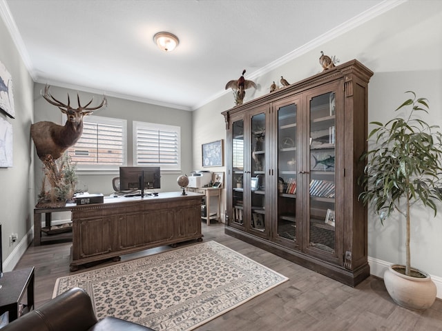 office featuring wood-type flooring and ornamental molding