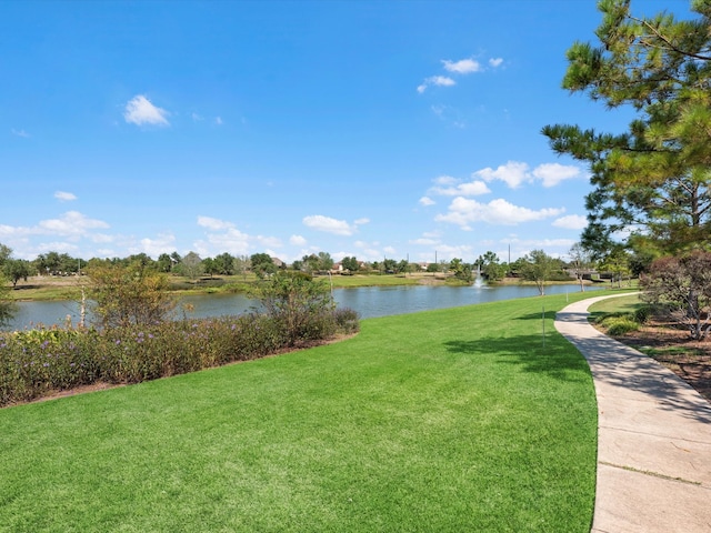 property view of water