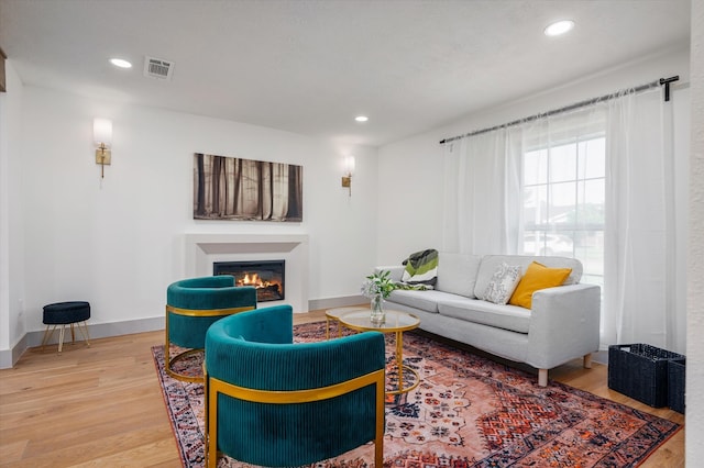 living room with wood-type flooring