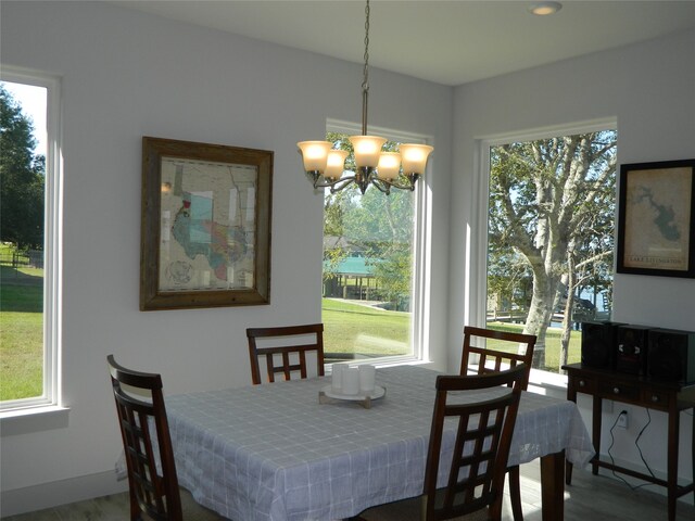 dining room with a notable chandelier and hardwood / wood-style flooring