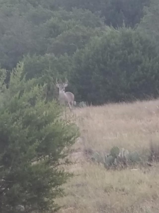 0 Sd 45500, Rocksprings, TX 78880 - photo 22