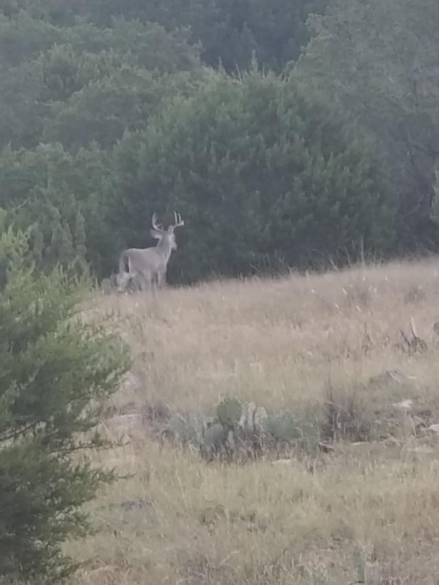 0 Sd 45500, Rocksprings, TX 78880 - photo 23