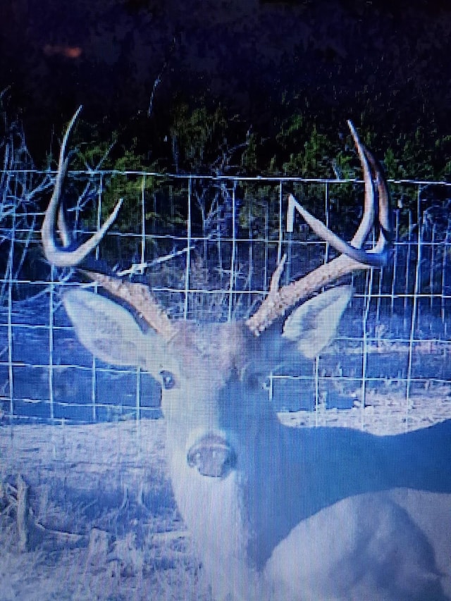 0 Sd 45500, Rocksprings, TX 78880 - photo 6