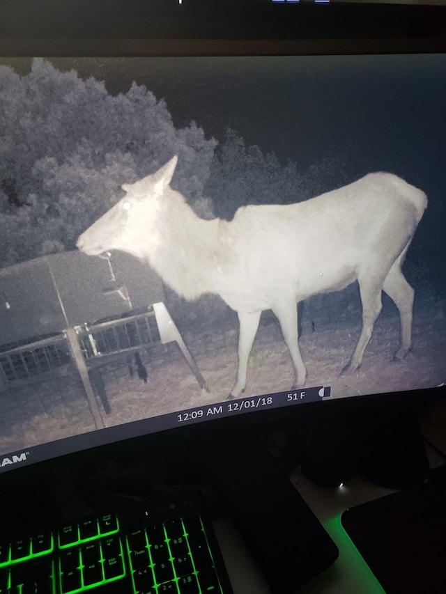 0 Sd 45500, Rocksprings, TX 78880 - photo 10