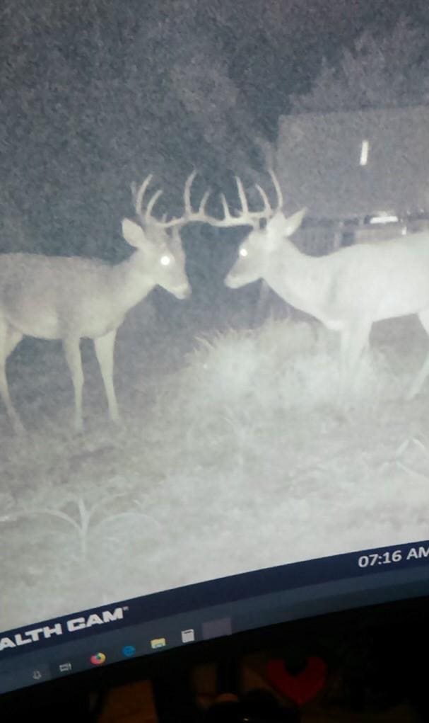 0 Sd 45500, Rocksprings, TX 78880 - photo 11