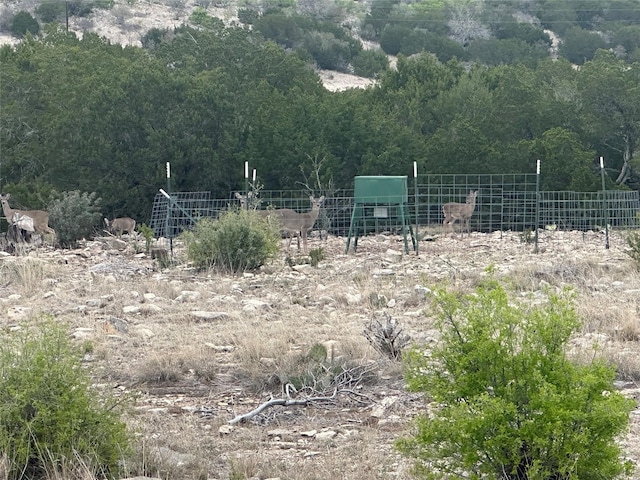 0 Sd 45500, Rocksprings, TX 78880 - photo 12