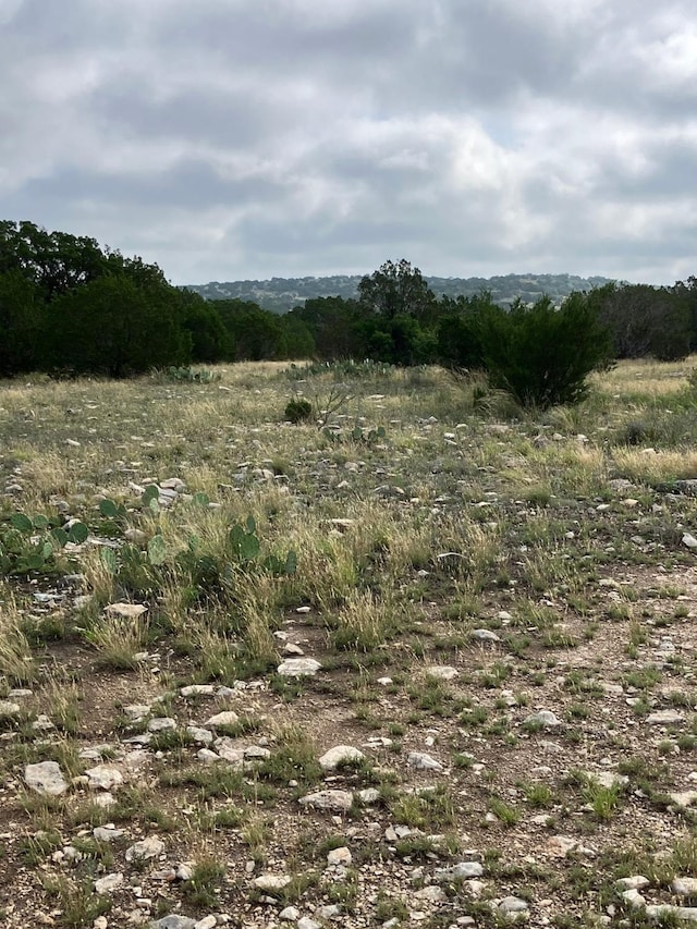 0 Sd 45500, Rocksprings, TX 78880 - photo 1