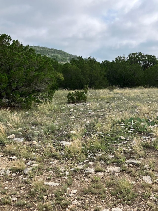 0 Sd 45500, Rocksprings, TX 78880 - photo 25