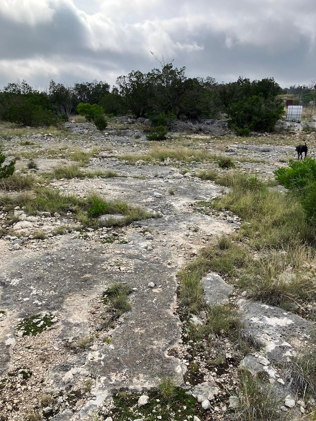 0 Sd 45500, Rocksprings, TX 78880 - photo 32