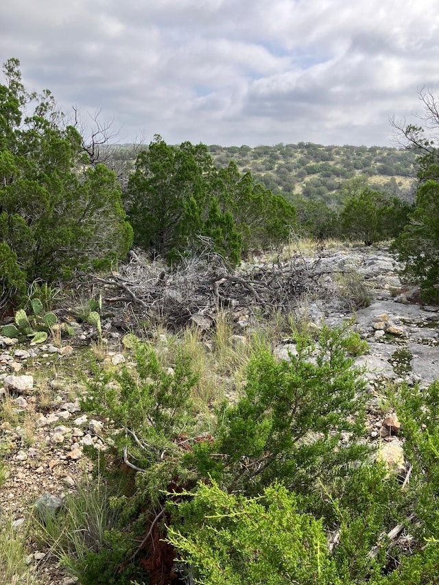 0 Sd 45500, Rocksprings, TX 78880 - photo 36