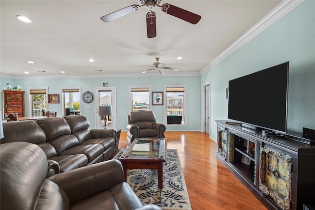 living room featuring ceiling fan, crown molding, and light hardwood / wood-style floors