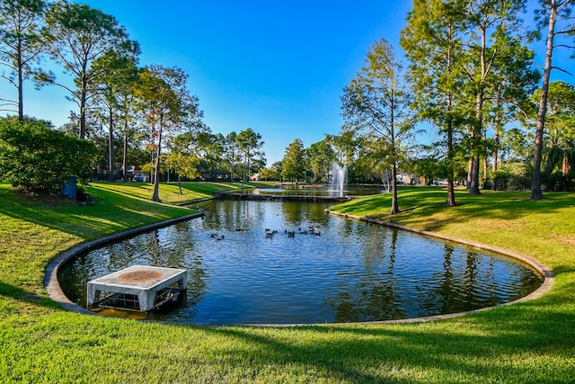 water view