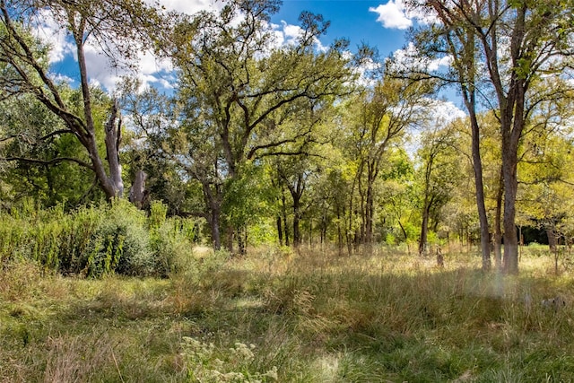 503 Berry Creek Dr, Caldwell TX, 77836 land for sale