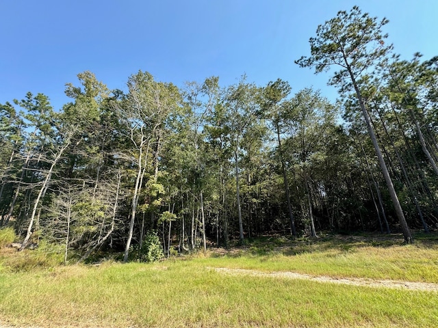 Listing photo 2 for LOT1 Stonebrook Dr, Livingston TX 77351