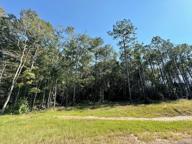 Listing photo 3 for LOT1 Stonebrook Dr, Livingston TX 77351