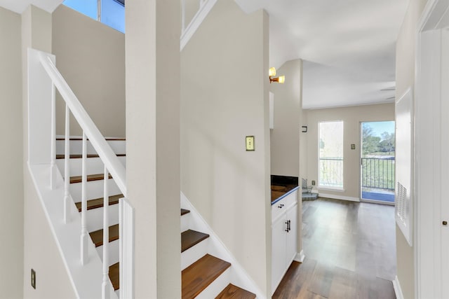 stairway with hardwood / wood-style floors