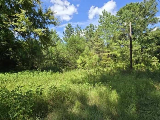 TBD Fm 980, Huntsville TX, 77320 land for sale